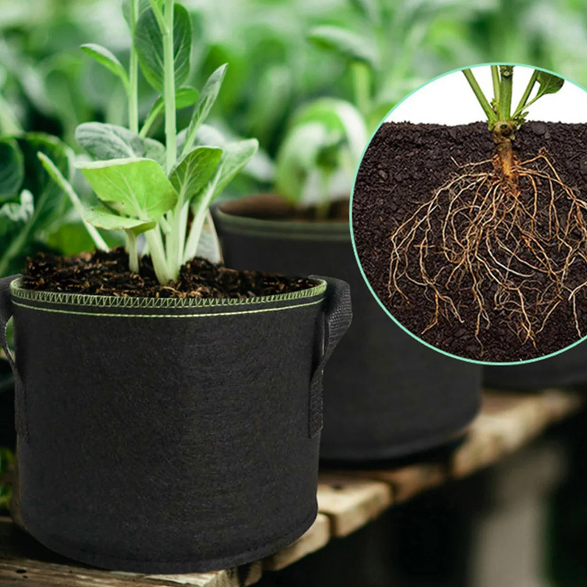 Breathable Geotextile Plant Pot