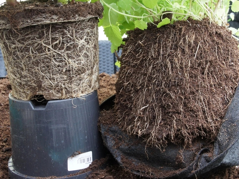 Breathable Geotextile Plant Pot